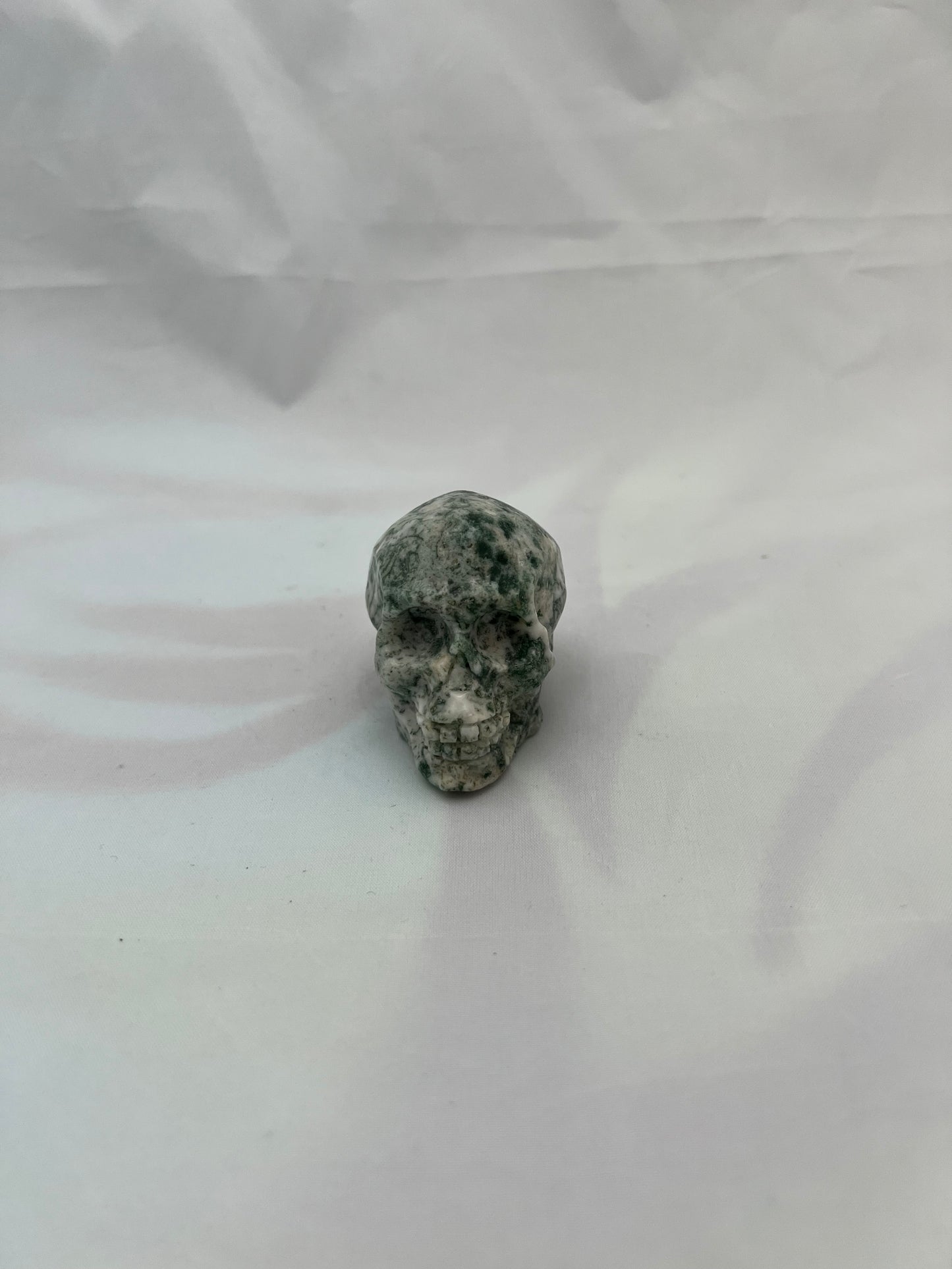 Moss Agate Skull