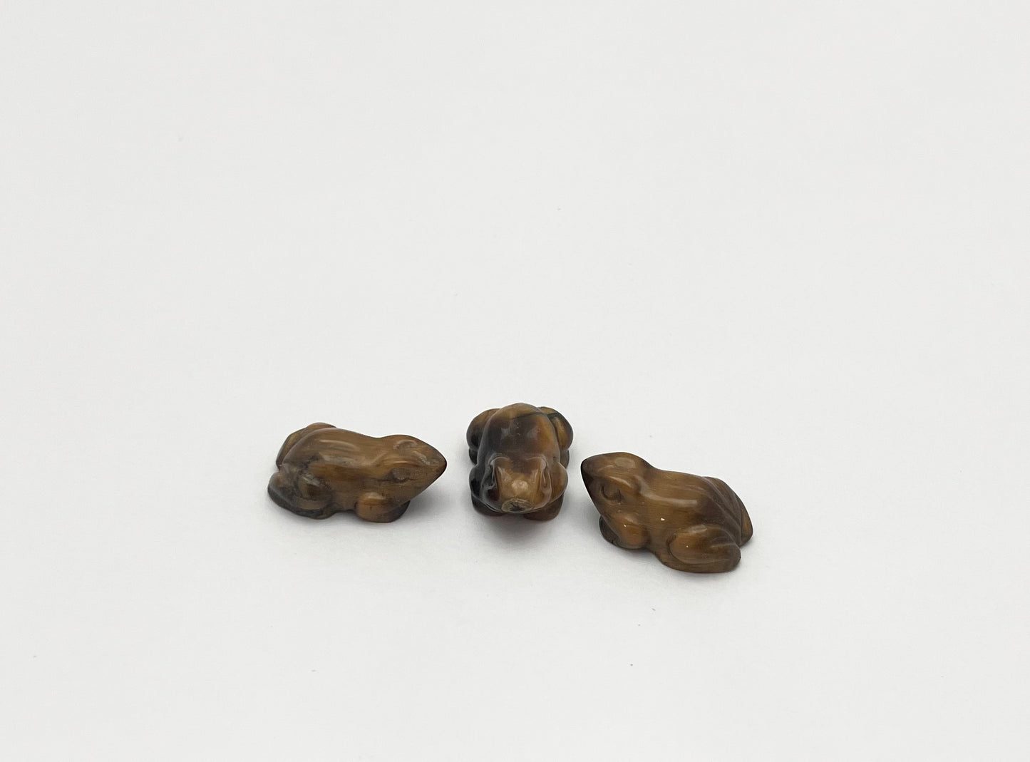 Tigers Eye Frog