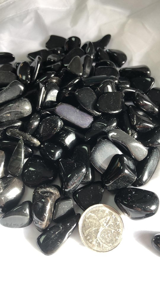 Black Obsidian - Tumbled