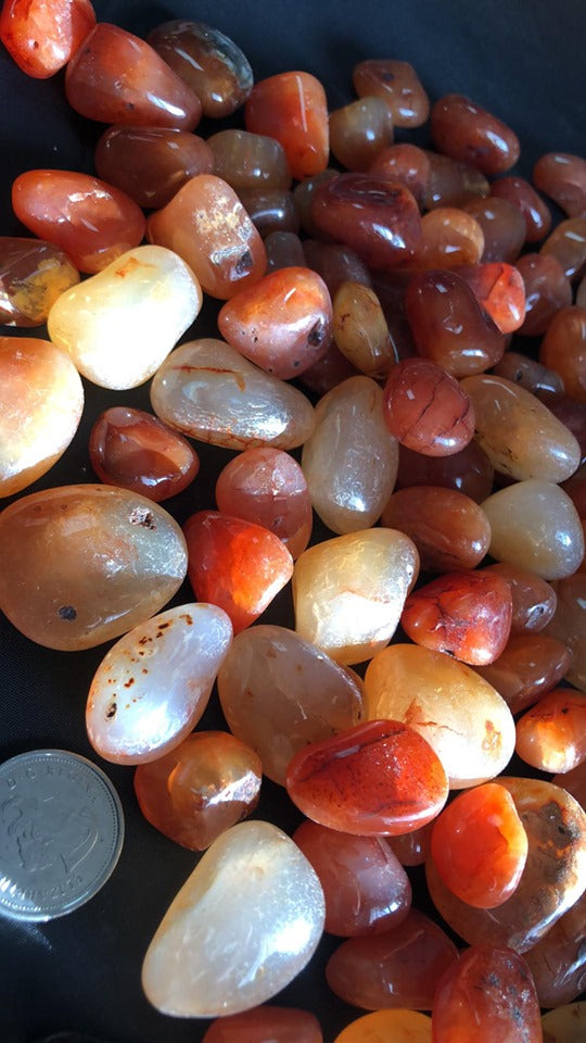 Carnelian - Tumbled