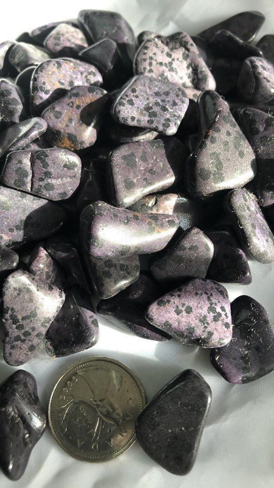 Dalmation Jasper - Dyed -Tumbled