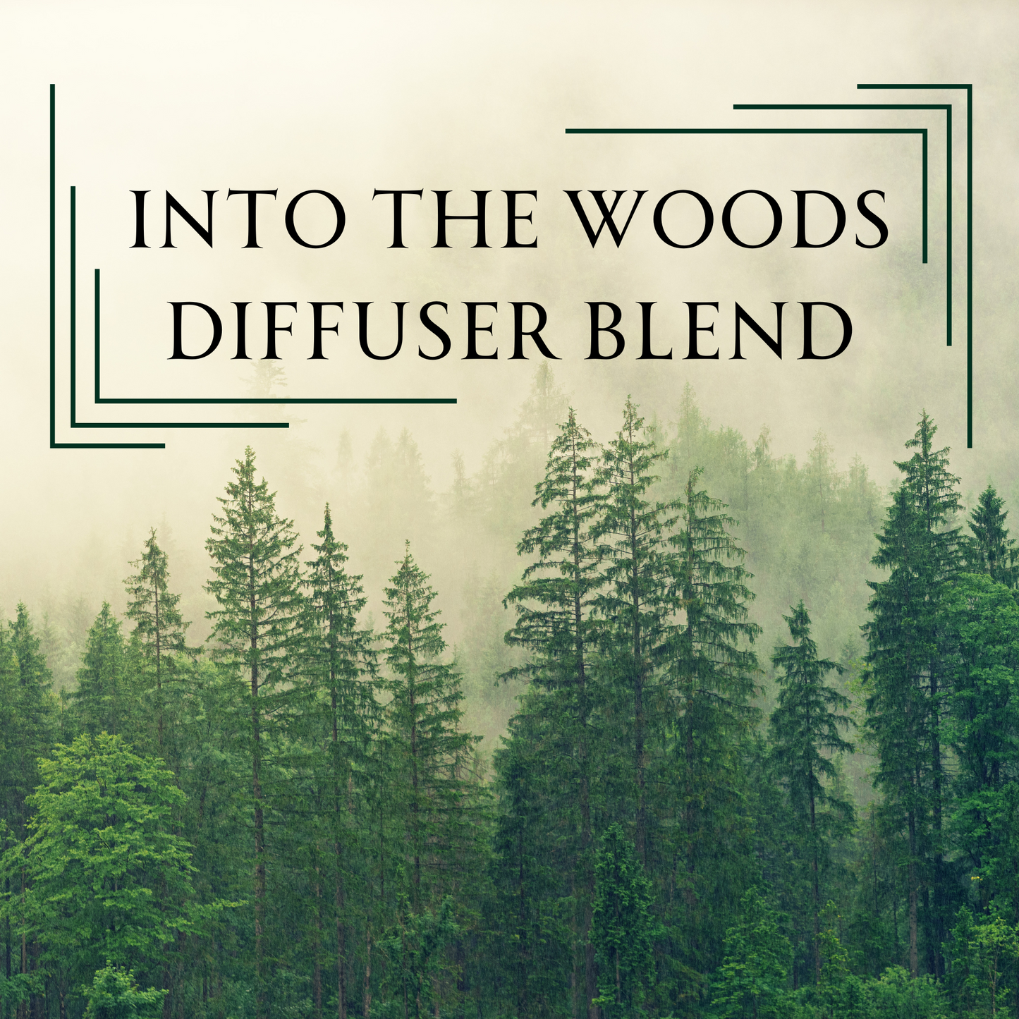 Into The Woods Diffuser Blend 15ml