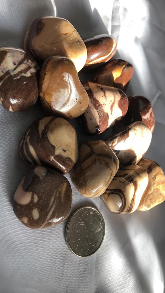 Puddingstone Jasper - Tumbled