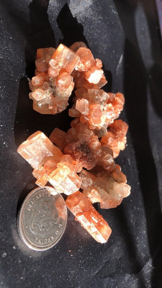 Sputnik Aragonite