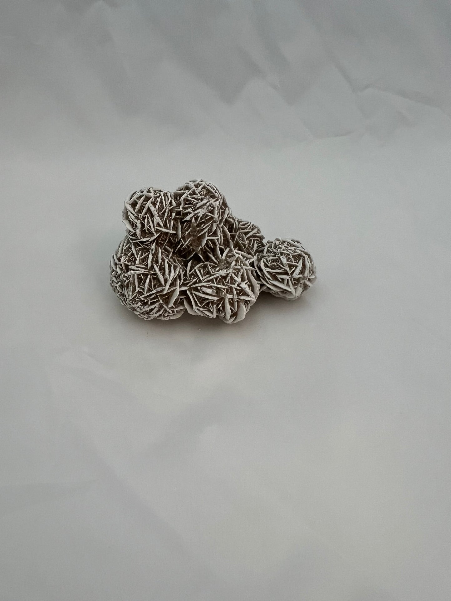 Desert Rose Specimen