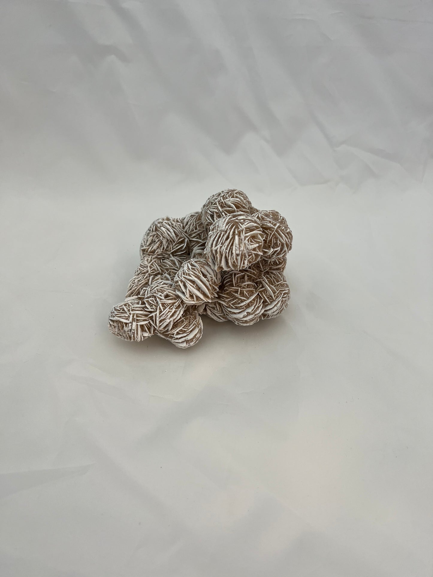 Desert Rose Specimen