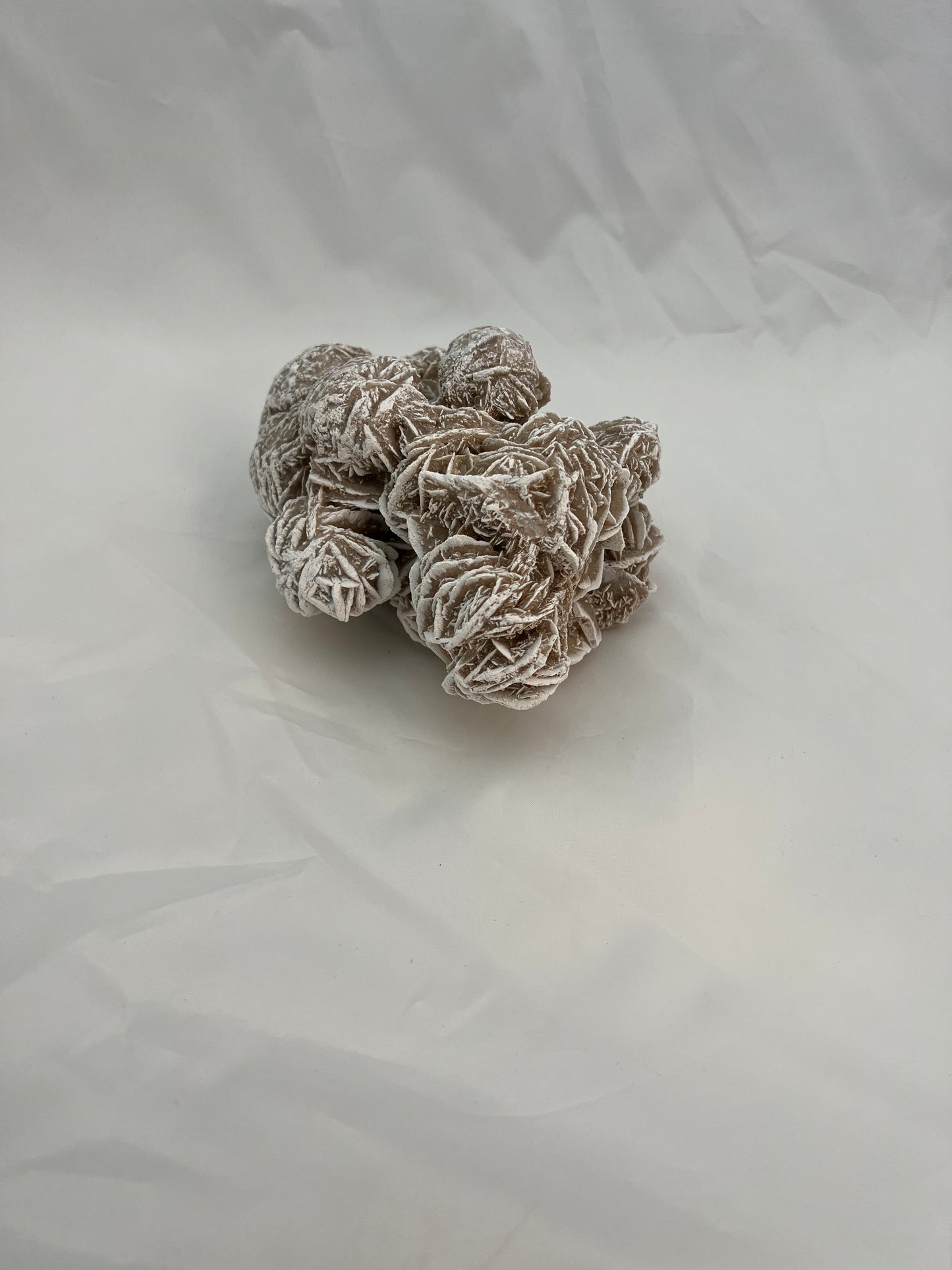 Desert Rose Specimen