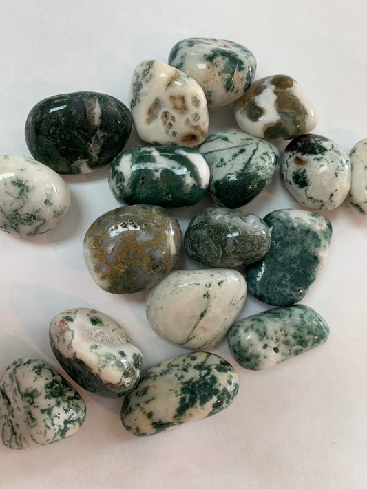 Tree Agate - Tumbled