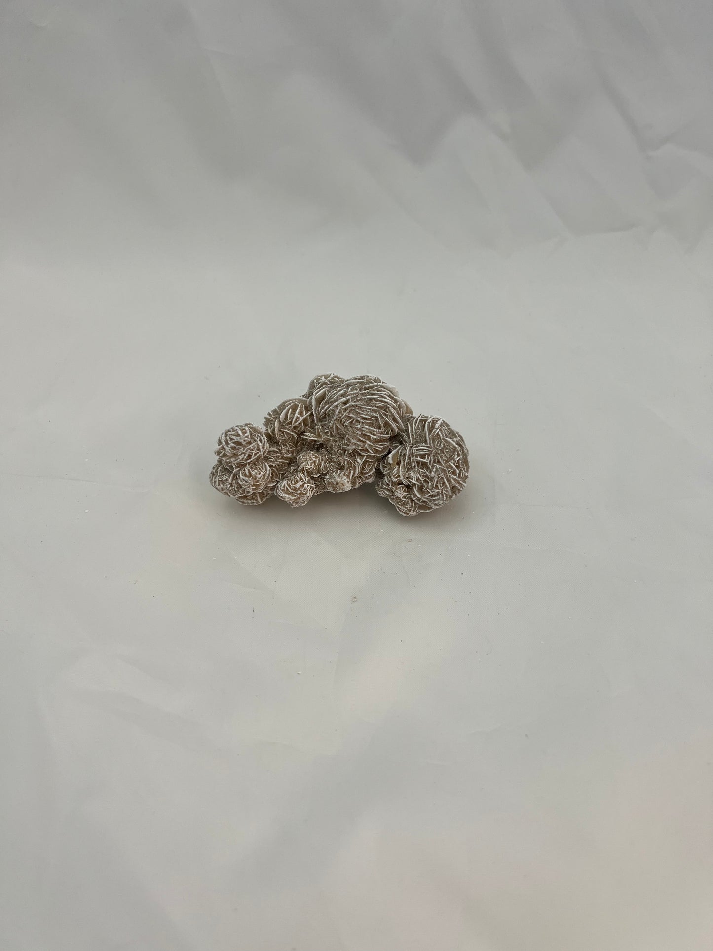 Desert Rose Specimen