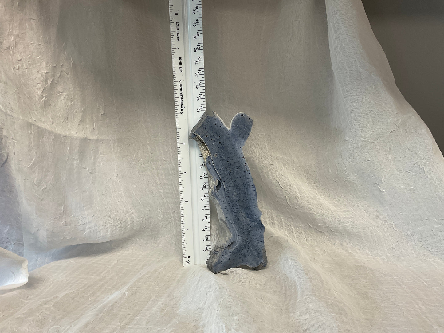 Coral Slab