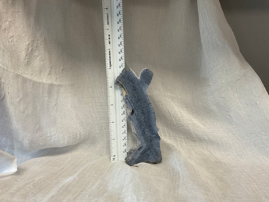 Coral Slab