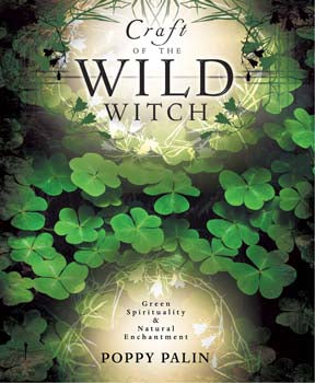 Craft of the Wild Witch Book