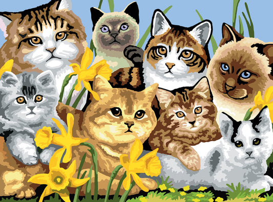Junior Painting by Numbers - Cat Montage