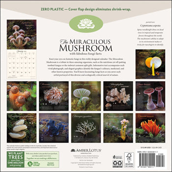 The Miraculous Mushroom Calendar 2025