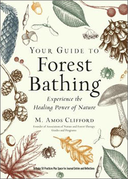 Your Guide to Forest Bathing