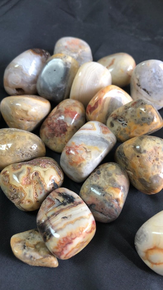 Crazy Lace Agate - Tumbled