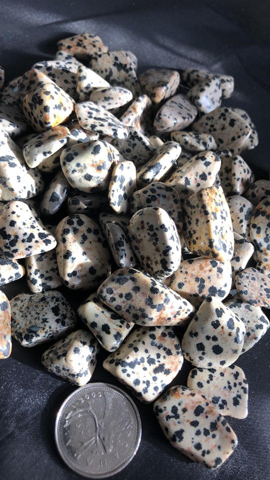 Dalmation Jasper - Tumbled