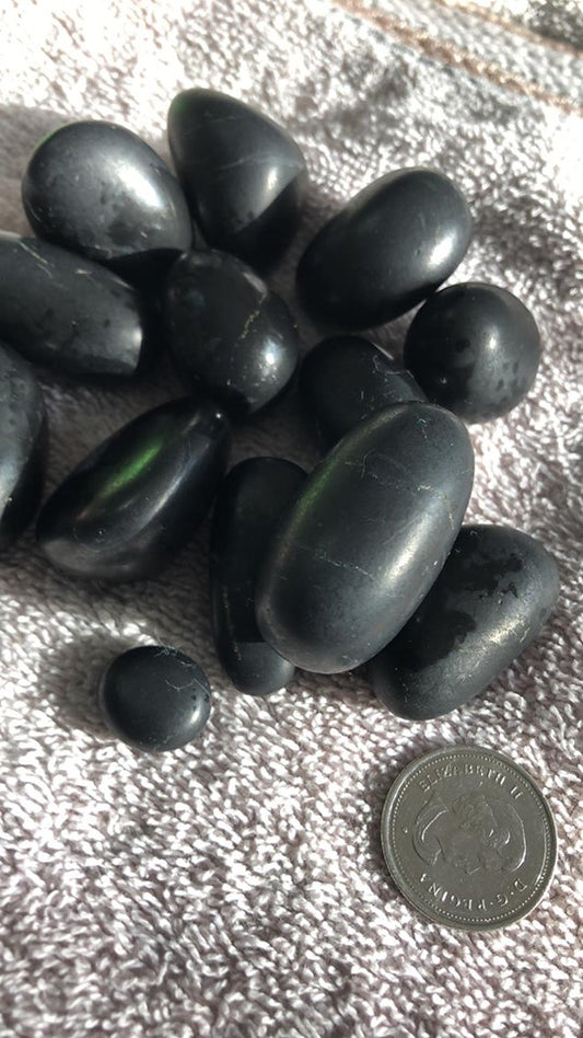 Shungite - Tumbled