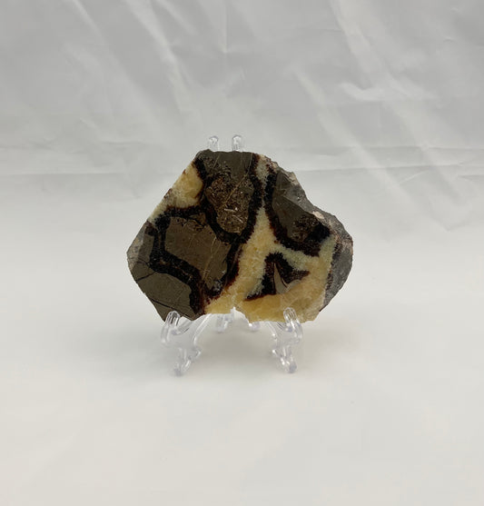Septarian Slab