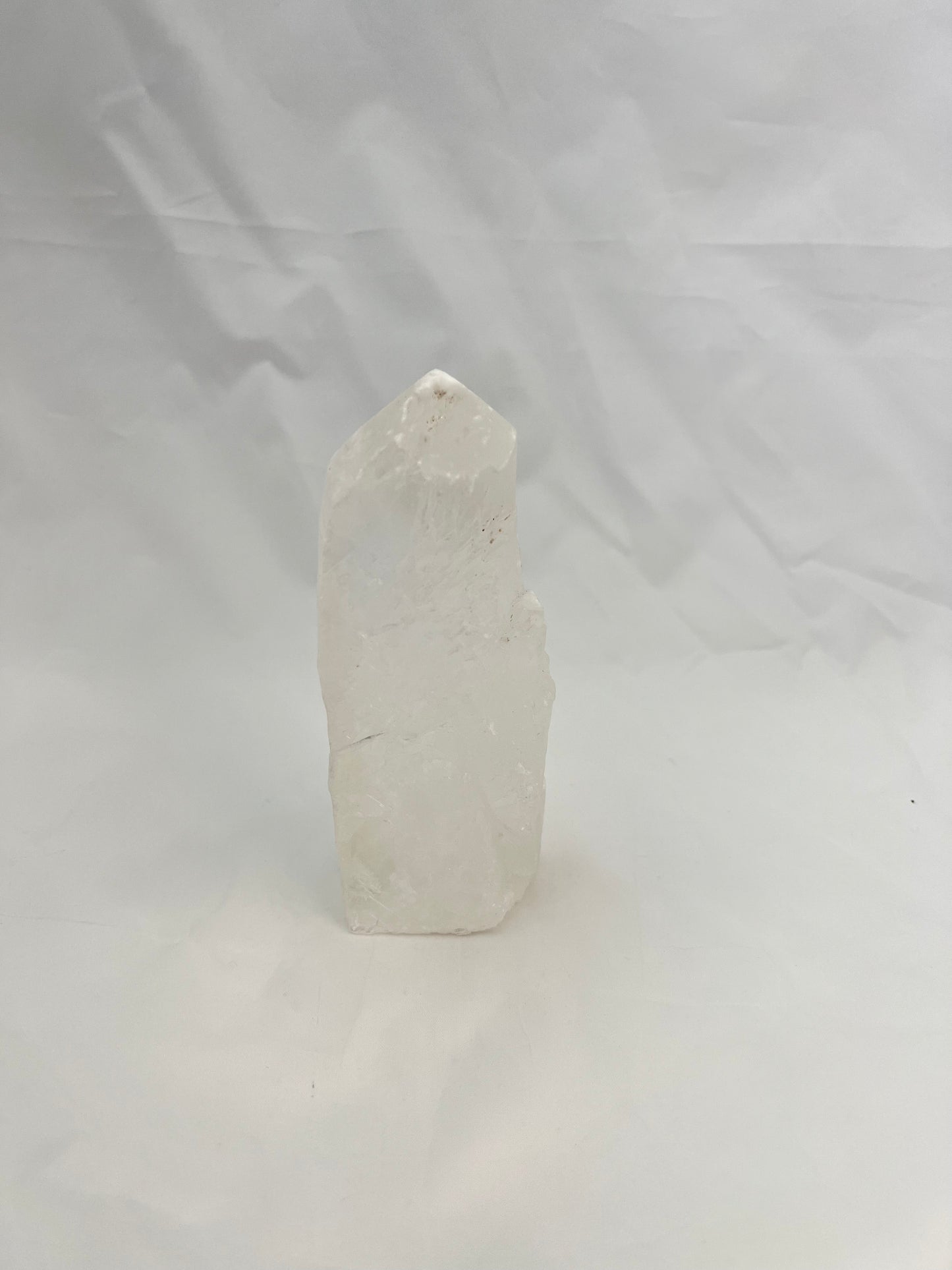 Fishtail Selenite Specimen