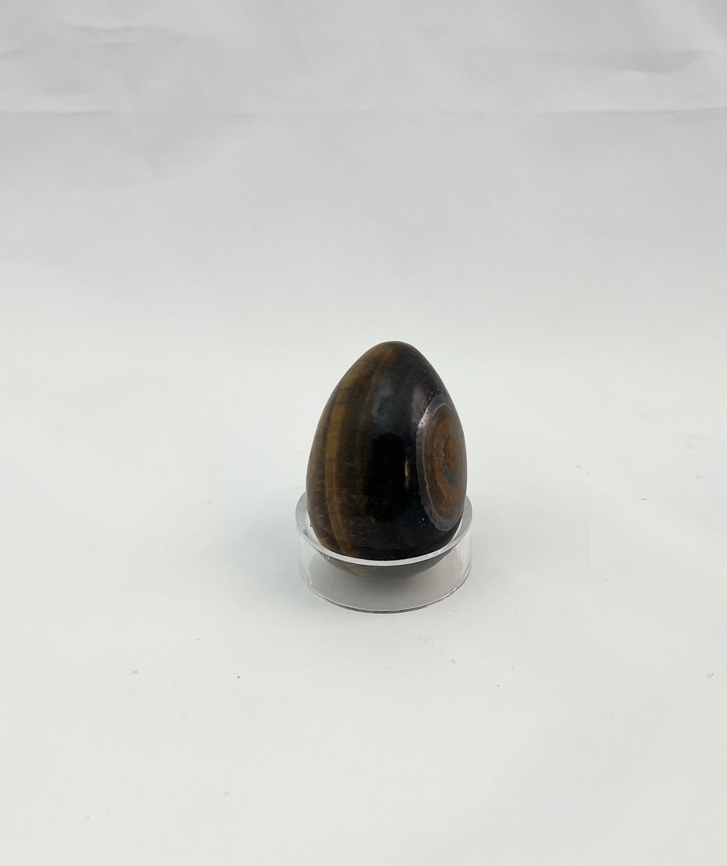 Tigers Eye Egg